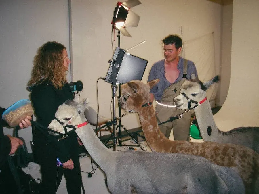Behind the Scenes Huckepack 5