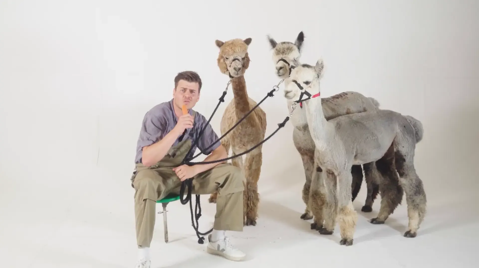 Huckepack: What the F*ck? Huckepack!, Partysong für den guten Zweck.